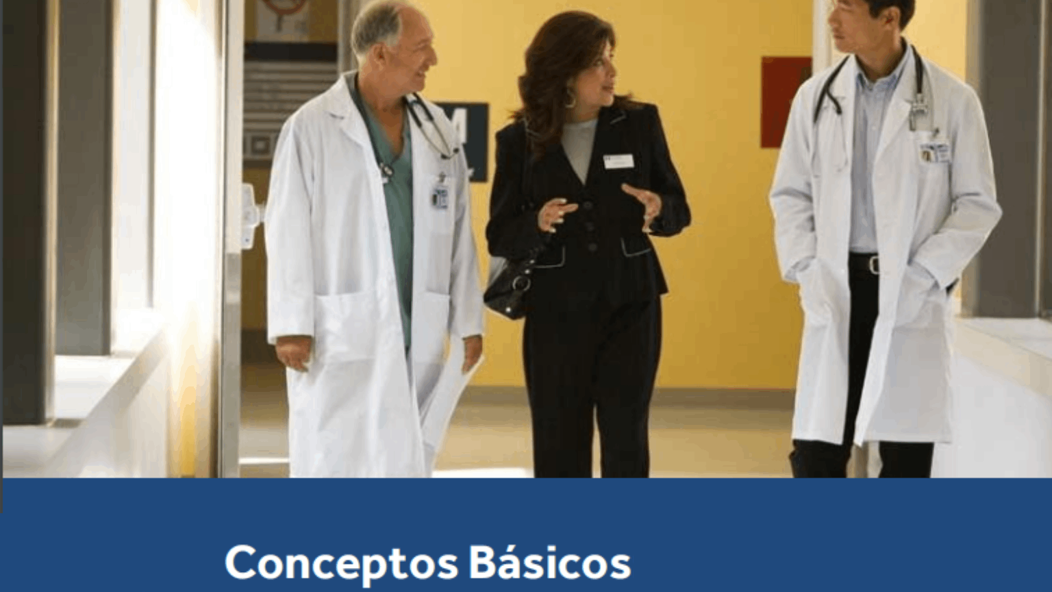 Manual conceptos básicos